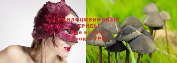 соль ск Бронницы