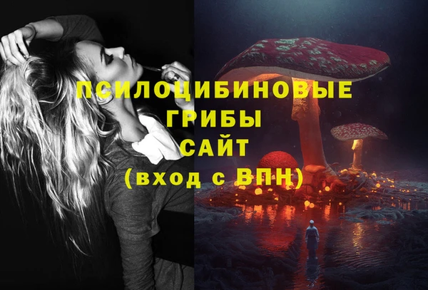 соль ск Бронницы