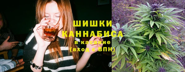соль ск Бронницы