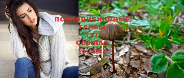 мет Бугульма