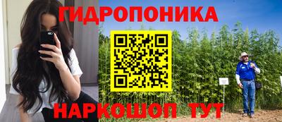 сатива Апшеронск