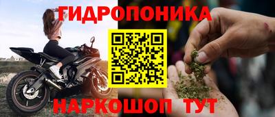 сатива Апшеронск