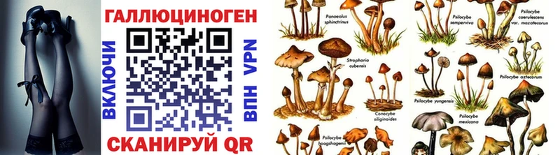 KRAKEN   магазин продажи   Вятские Поляны  Псилоцибиновые грибы мицелий 