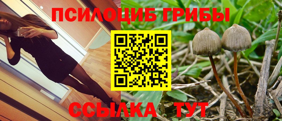 Галлюциногенные грибы мухоморы Вятские Поляны